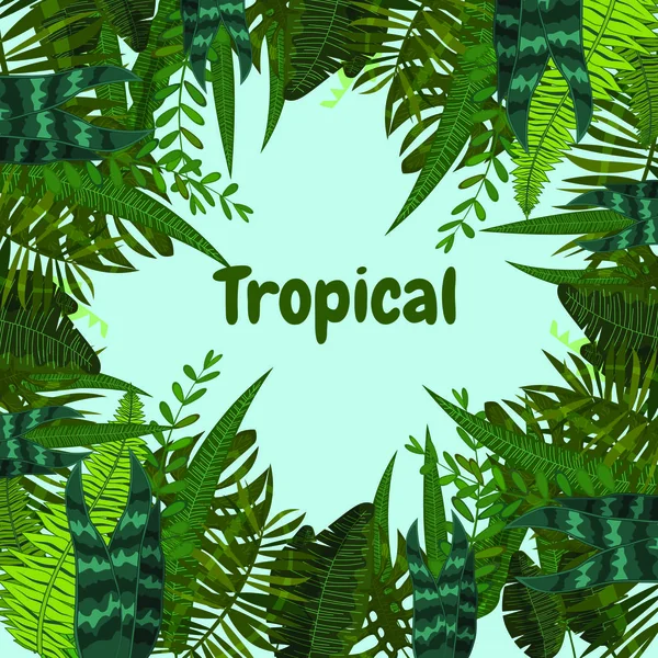 Tarjeta tropical de verano con hojas. Estilo de dibujos animados. Ilustración vectorial, aislada — Archivo Imágenes Vectoriales