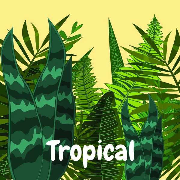 Tarjeta de selva tropical de verano con hojas. Estilo de dibujos animados. Ilustración vectorial, aislada — Archivo Imágenes Vectoriales