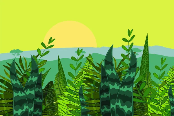 Tarjeta de selva tropical de verano con hojas. Estilo de dibujos animados. Ilustración vectorial, aislada — Vector de stock