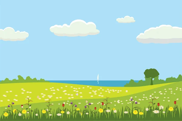 Een schattig landschap, een prachtig uitzicht, velden van weilanden, bloeiende bloemen. Cartoon stijl, vector, geïsoleerd — Stockvector