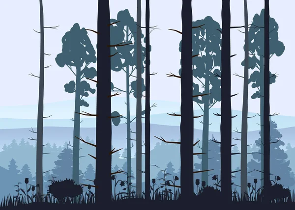 Fondo del bosque soleado. Ilustración vectorial de maderas en bosque en fondo de luz solar. Aislado — Archivo Imágenes Vectoriales