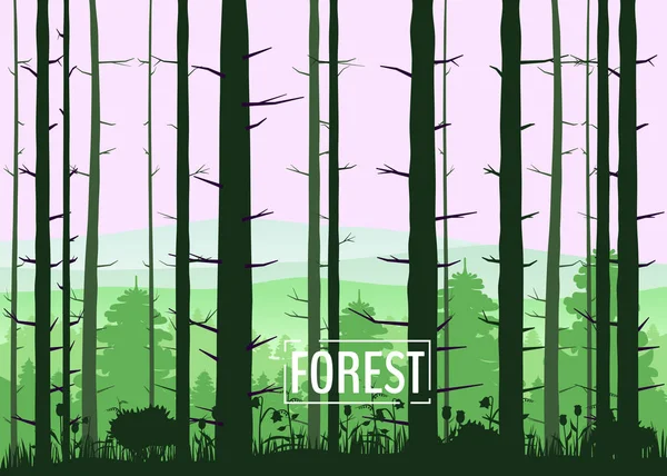 Bos, silhouetten, bomen, pijnboom, spar, natuur, milieu, horizon, panorama, vector, illustratie, geïsoleerd — Stockvector