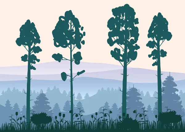 Bos, silhouetten, bomen, pijnboom, spar, natuur, milieu, horizon, panorama, vector, illustratie, geïsoleerd — Stockvector