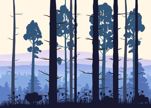 Fundo da floresta ensolarada. Ilustração vetorial de madeiras na floresta em fundo de luz solar. Isolados — Vetor de Stock