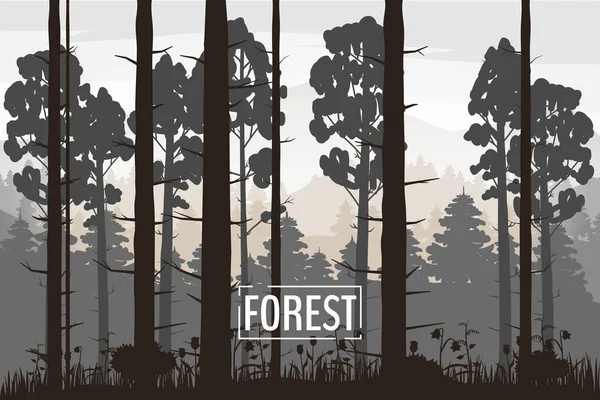Illustrazione minimalista del paesaggio forestale. Silhouette di pini. Scena naturale. Sfondo di colore realistico con sagome, alberi, pino, abete, natura, colline, erba e fiori, ambiente, orizzonte — Vettoriale Stock