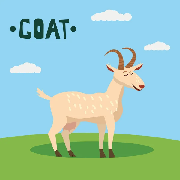 Cute Goat Farm Animal Character Farm Animals Vector Illustration Field — Stock Vector