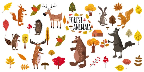 Σύνολο χαριτωμένο δάσος ζώα φέρουν, ρακούν, σκίουρος, λαγός, αλεπού, λύκος, σκαντζόχοιρος, άλκες, ελάφια, φθινόπωρο φύλλα δέντρων, μοντέρνο στυλ τάση, διάνυσμα, εικονογράφηση, απομονωμένες — Διανυσματικό Αρχείο