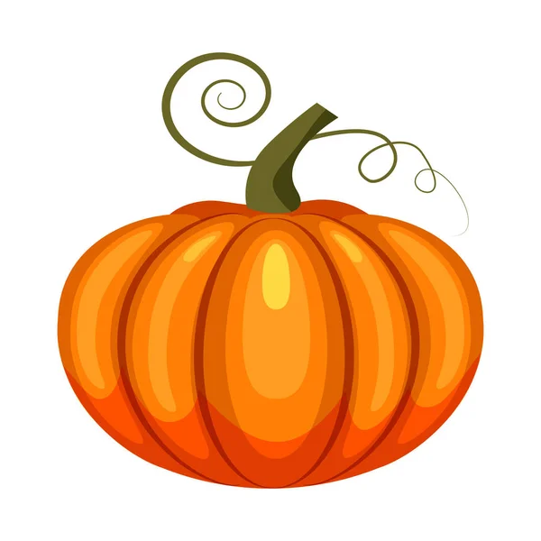 Pumpkin, holiday Halloween, character halloween, attribute, icon, vector, illustration, isolated, cartoon styyle