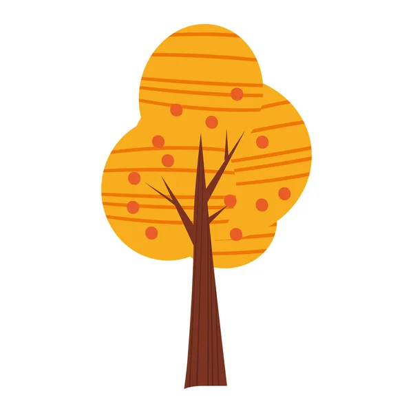 Πολύχρωμο φθινόπωρο δέντρο. Διάνυσμα κινουμένων σχεδίων, κίτρινο, πορτοκαλί, κόκκινο, πέσει το δέντρο για το πάρκο της πόλης και δασικό τοπίο φόντου απομονωμένες — Διανυσματικό Αρχείο
