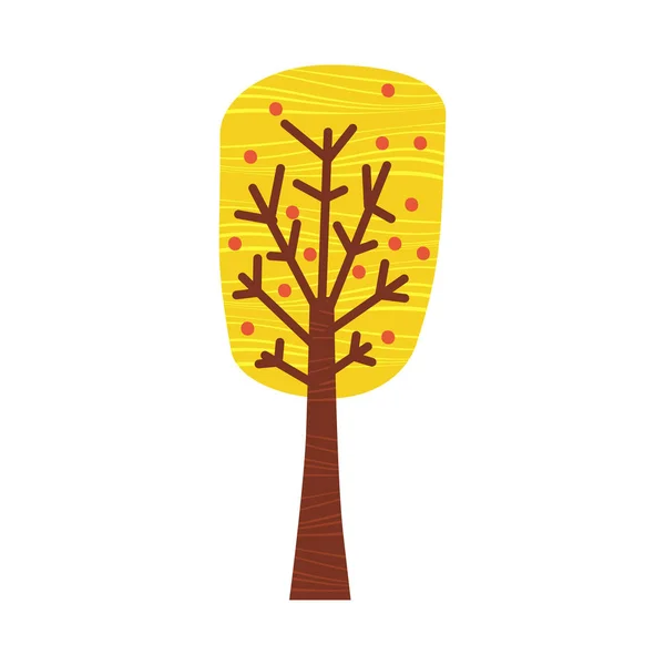 Πολύχρωμο φθινόπωρο δέντρο. Διάνυσμα κινουμένων σχεδίων, κίτρινο, πορτοκαλί, κόκκινο, πέσει το δέντρο για το πάρκο της πόλης και δασικό τοπίο φόντου απομονωμένες — Διανυσματικό Αρχείο