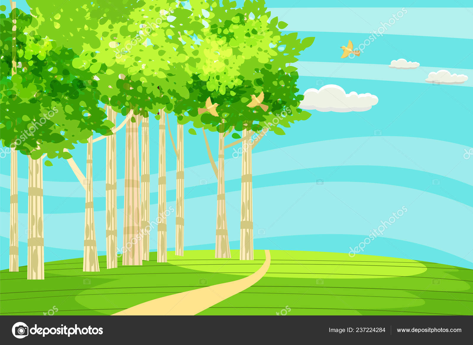 Spring green landscape at the edge of the forest, a hill. The path goes into the Spring green landscape at the edge of the forest, a hill. The path goes into the