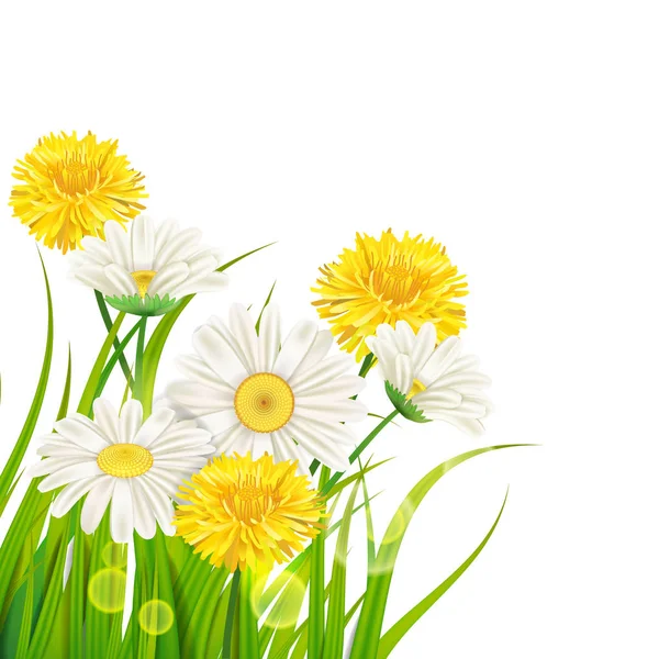 stock vector Fresh spring juicy chamomile and dandelions flowers and green grass, vector, template, illustration, isolated