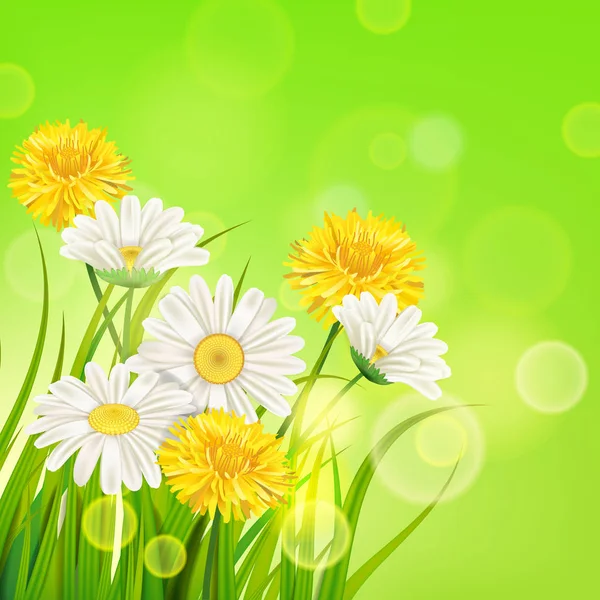 Margaritas de primavera y dientes de león fondo hierba verde fresca, agradables colores jugosos de primavera, vector, ilustración, plantilla, bandera, aislado — Vector de stock