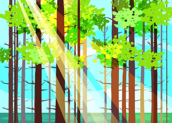 Szép tavaszi erdei fák, zöld lombok, táj, bokrok, bőrönd, sziluettek horizont. Sugárzás a napfény. Vektor rajzfilm stílusú illusztráció sablon baner poszter elszigetelt — Stock Vector