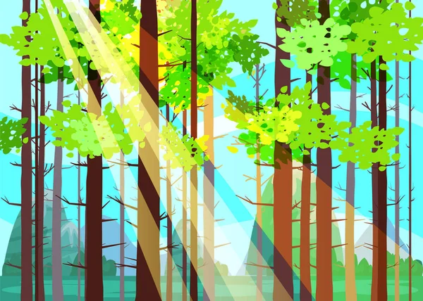 Beaux arbres forestiers de printemps, feuillage vert, paysage, buissons, silhouettes de troncs, horizon. Rayons de soleil. Modèle d'illustration de dessin animé vectoriel baner poster isolé — Image vectorielle