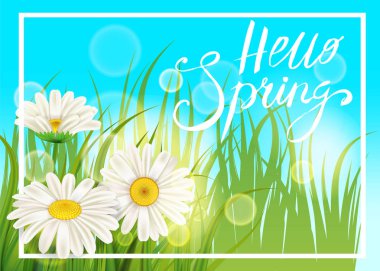 Afiş, web, el ilanı için şablon arka plan bahar papatyalar, Bahar, yazı chamomiles sulu yeşil çimen. Vektör illüstrasyon izole.
