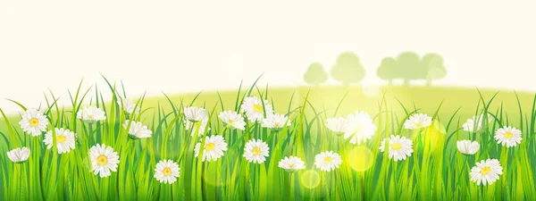 Template background Spring field of flowers of daisies and green juicy grass, meadow, blue sky, white clouds. Vector, illustration, isolated, banner, flyer
