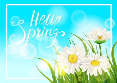 Bahar papatyalar, chamomiles dandelions sulu yazı yeşil. Afiş, web, el ilanı için şablon çim arka plan bahar. Vektör illüstrasyon izole.