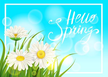 Bahar papatyalar, chamomiles dandelions sulu yazı yeşil. Afiş, web, el ilanı için şablon çim arka plan bahar. Vektör illüstrasyon izole.