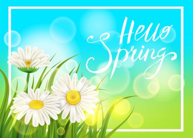 Bahar papatyalar, chamomiles dandelions sulu yazı yeşil. Afiş, web, el ilanı için şablon çim arka plan bahar. Vektör illüstrasyon izole.