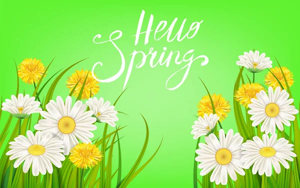 こんにちは春バナー。手描きのレタリング。背景、カモミールとデイジー。春時のテンプレート、チラシ、ポスター、パンフレット。幸せな春の日。ファッショナブルなスタイリング。分離された花のベクトル — ストックベクタ