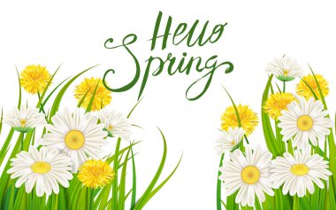 Merhaba bahar afiş. El yazı çekilmiş. Arka plan ile papatya, papatya. Bahar zamanı şablonu, el ilanı, afiş, broşür. Mutlu bahar günü. Moda stil. İzole vektör çiçek