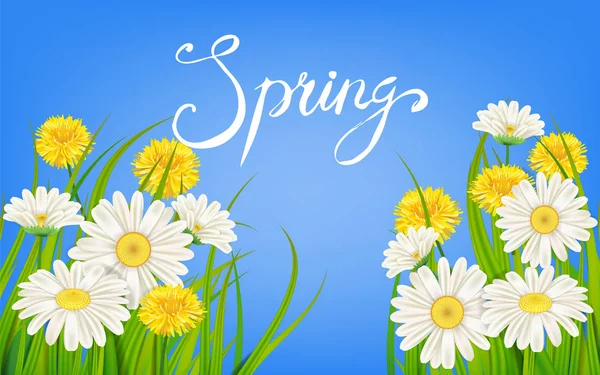 春のバナーです。手描きのレタリング。背景、カモミールとデイジー。春時のテンプレート、チラシ、ポスター、パンフレット。幸せな春の日。ファッショナブルなスタイリング。分離された花のベクトル — ストックベクタ