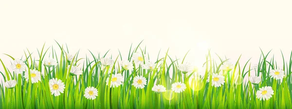 Mall bakgrund våren fält av blommor av prästkragar och grönt saftigt gräs, äng, blå himmel, vita moln. Vektor, illustration, isolerad, banner, flyer — Gratis stockfoto