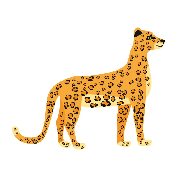 Leopard niedlich Trend-Stil, tierisches Raubtier Säugetier, Dschungel. Vektor-Illustration isoliert auf weißem Hintergrund — Stockvektor