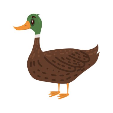 Sevimli ördek, hayvan, kuş, trend, çizgi film tarzı, vektör, illüstrasyon, beyaz arka plan üzerinde izole