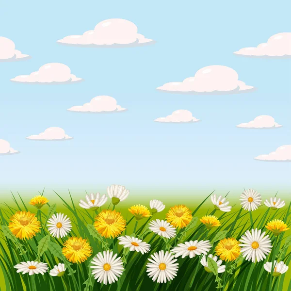 Fundo de primavera fresco com grama, flores dente-de-leão e margaridas, modelo, bandeira, cartaz, vetor —  Vetores de Stock