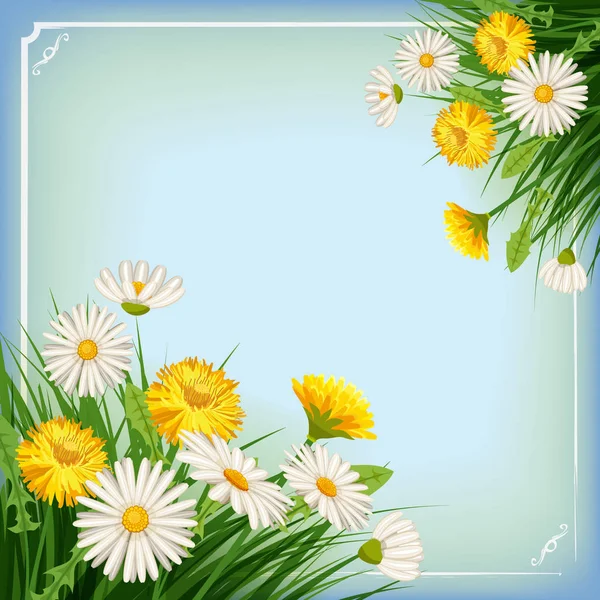 Fondo de primavera fresca con hierba, dientes de león y margaritas plantilla baner — Vector de stock