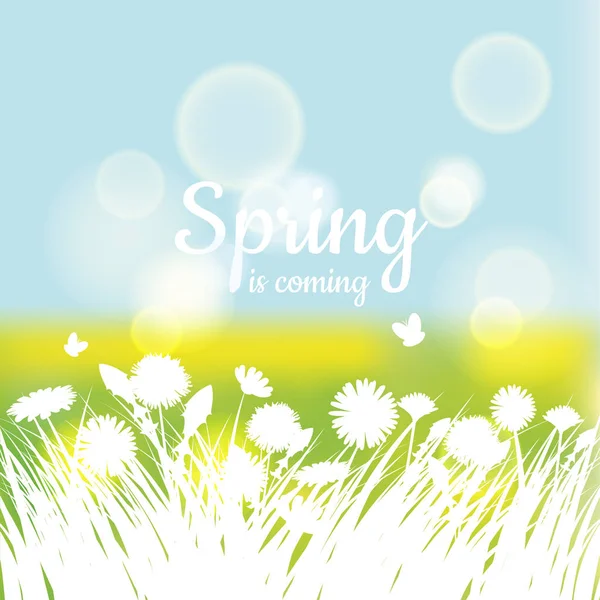 Hola primavera con hierba verde y manzanilla sobre fondo verde. Fondo de primavera. Diseño para pancartas, tarjetas de felicitación, ventas de primavera. Ilustración vectorial — Vector de stock