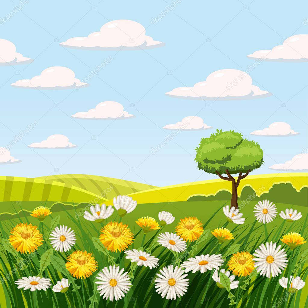 Summer landscape with dandelion with grass, flowers dandelions and daisies, template, baner, poster, vector