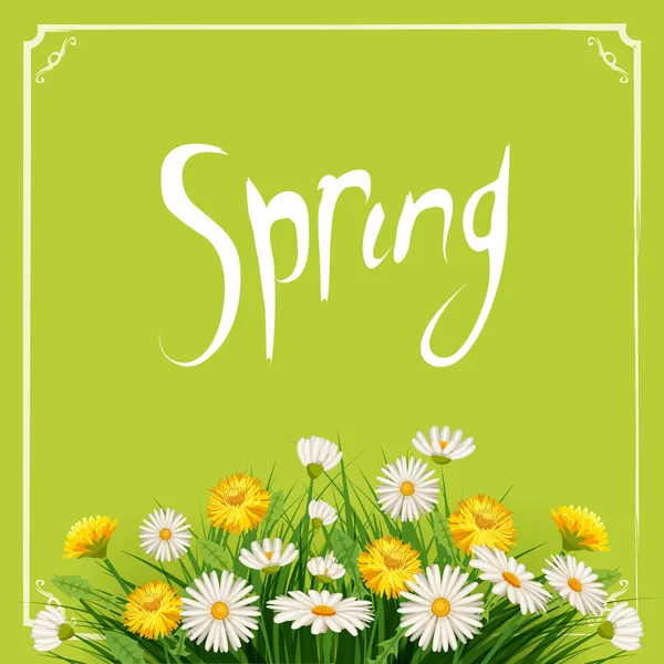 Fresh spring background with grass, dandelions and daisies. Vector, poster, template — Stock Vector