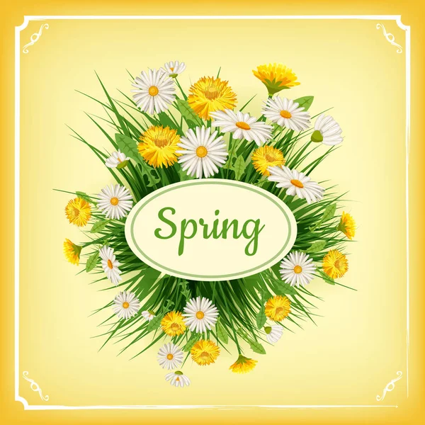 Friss tavaszi háttér fű, pitypang és margarétek. Vektor, plakát, sablon — Stock Vector