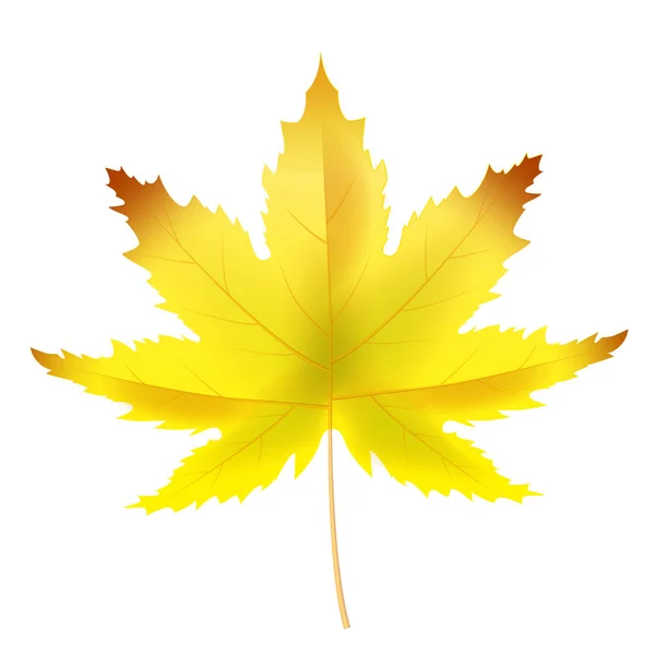 Banner outono folha modelo fundo. Folhas coloridas amarelas e marrons. Banners, panfletos, apresentações. Ilustração vetorial —  Vetores de Stock