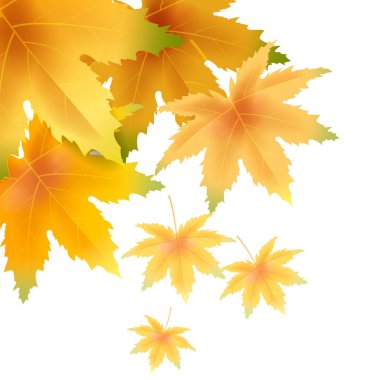 Banner sonbahar düşen şablon arka plan bırakır. Sarı ve kahverengi renkli yeşillik. Afişler, el ilanları, sunumlar. Vektör çizimi