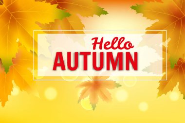 Banner sonbahar düşen şablon arka plan bırakır. Sarı ve kahverengi renkli yeşillik. Afişler, el ilanları, sunumlar. Vektör çizimi