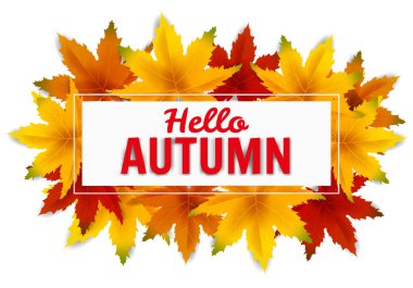 Banner sonbahar düşen şablon arka plan bırakır. Sarı ve kahverengi renkli yeşillik. Afişler, el ilanları, sunumlar. Vektör çizimi