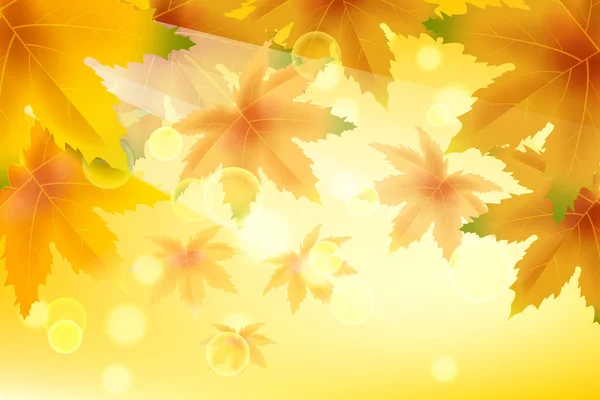 Banner herfst vallende bladeren sjabloon achtergrond. Geel en bruin kleurrijk gebladerte. Banners, flyers, presentaties. Vector illustratie — Stockvector