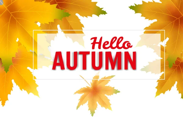 Banner Hello Autumn caída hojas plantilla fondo. Follaje de color amarillo y marrón. Banners, volantes, presentaciones. Ilustración vectorial — Vector de stock