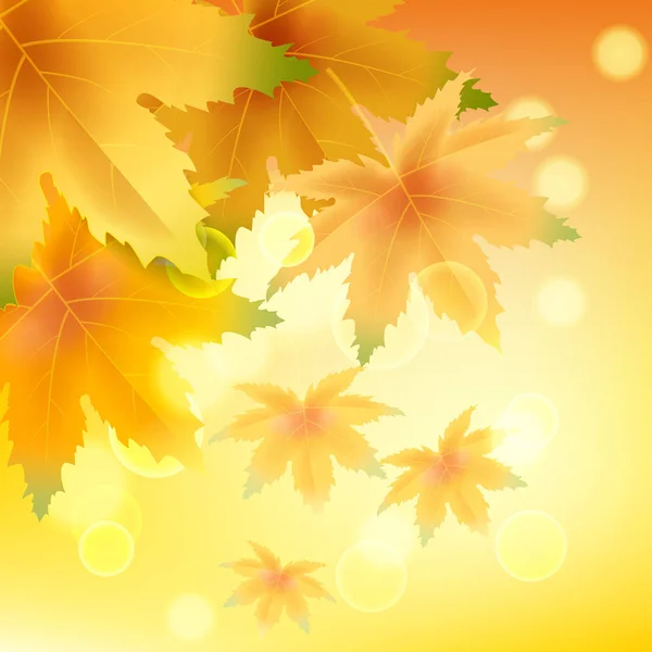 Баннер осенью падения листья шаблон фона. Желтая и коричневая цветная листва. Баннеры, флаеры, презентации. Векторная иллюстрация — стоковый вектор