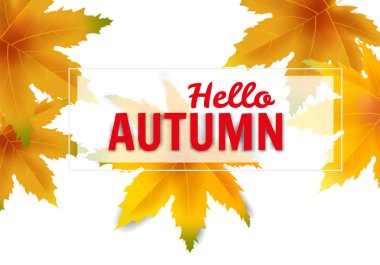 Banner sonbahar düşen şablon arka plan bırakır. Sarı ve kahverengi renkli yeşillik. Afişler, el ilanları, sunumlar. Vektör çizimi