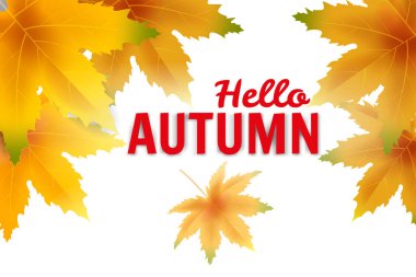 Banner sonbahar düşen şablon arka plan bırakır. Sarı ve kahverengi renkli yeşillik. Afişler, el ilanları, sunumlar. Vektör çizimi