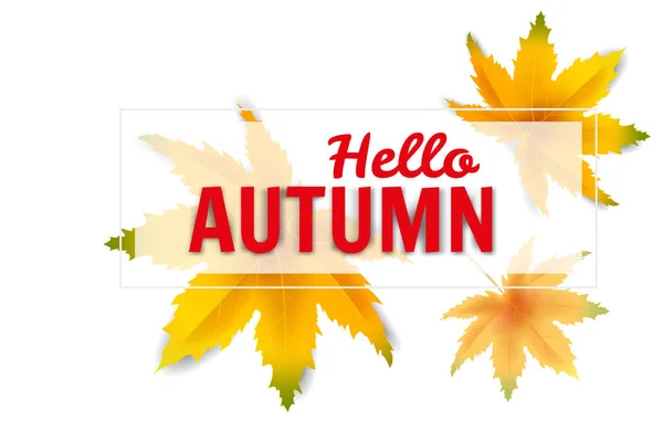 Banner otoño caída hojas plantilla fondo. Follaje de color amarillo y marrón. Banners, volantes, presentaciones. Ilustración vectorial — Vector de stock