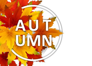 Özel Teklif Sonbahar Satış Arka Plan Şablonu, yaprakları, alışveriş indirimi promosyon, Kartpostal ve Davet kartı için mevsimlik poster düşen demet ile. Vektör illüstrasyon Fişi