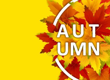 Sonbahar Arka Plan Şablonu, yaprakları, alışveriş indirimi promosyon, Kartpostal ve Davet kartı için mevsimlik poster düşen demet ile. Vektör illüstrasyon Fişi, Banner, Flyer