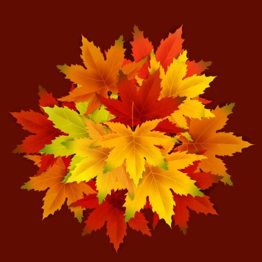 Sonbahar Arka Plan Şablonu, yaprakları, alışveriş indirimi promosyon, Kartpostal ve Davet kartı için mevsimlik poster düşen demet ile. Vektör illüstrasyon Fişi, Banner, Flyer