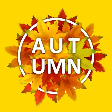 Teklif Sonbahar Arka Plan Şablonu, yaprakları, alışveriş indirimi promosyon, Kartpostal ve Davet kartı için mevsimlik poster düşen demet ile. Vektör illüstrasyon Fişi, Banner